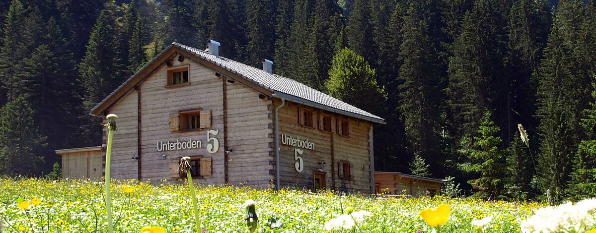 Unterboden 5 Schr&ouml;cken im Sommer
