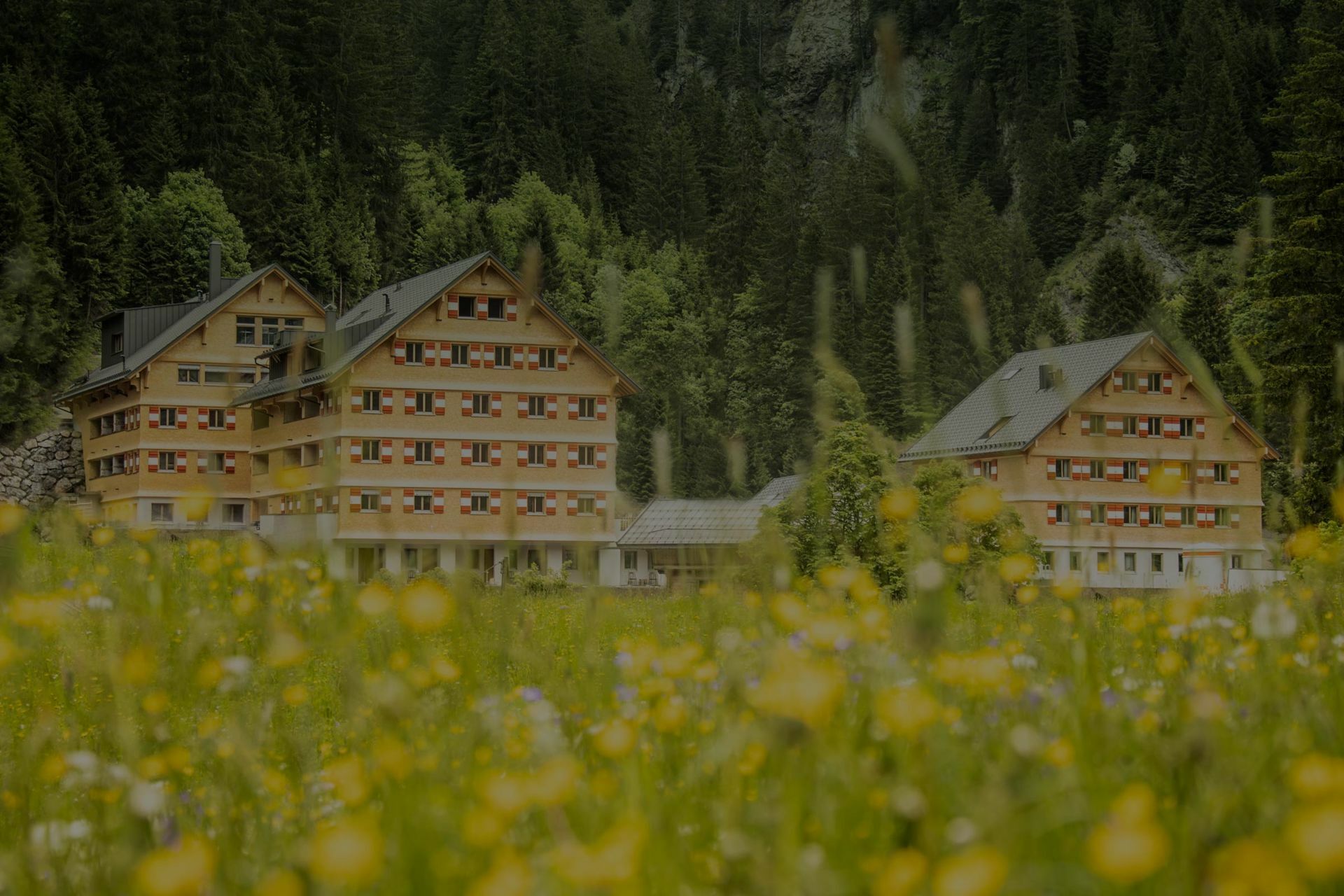 Berghaus Schr&ouml;cken hinter Blumenwiese